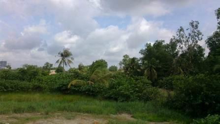 vacant land, residential land and garden land with vegetation including fruit trees in garden, nipa trees and