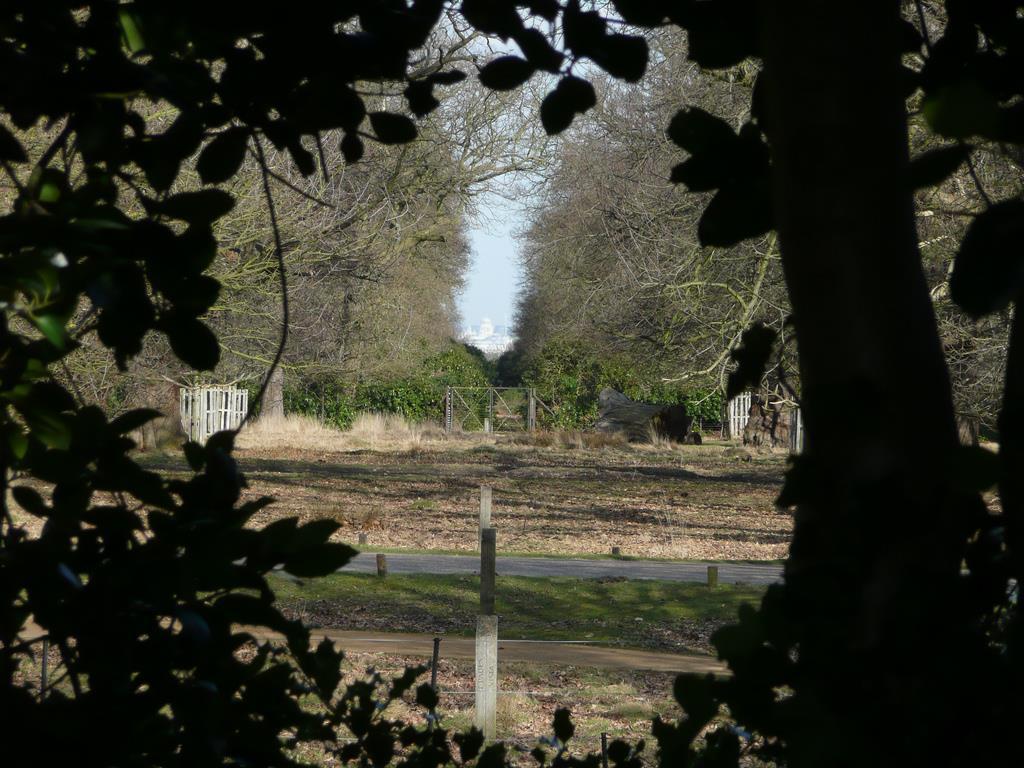 Protected view from King Henry VIII Mound (Richmond Park) 16km Good (economic) reasons to protect townscape: but