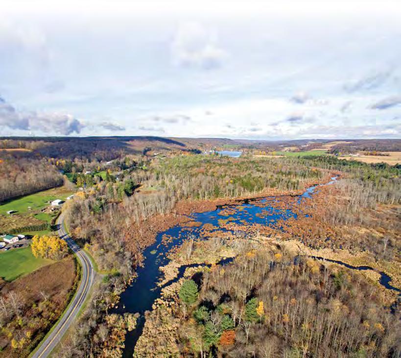 Addition to Dorothy McIlroy Bird Sanctuary Protects Fall Creek Located in the town of Summerhill in Cayuga County, the Dorothy McIlroy Bird Sanctuary sits on a high plateau, bisected by Fall Creek