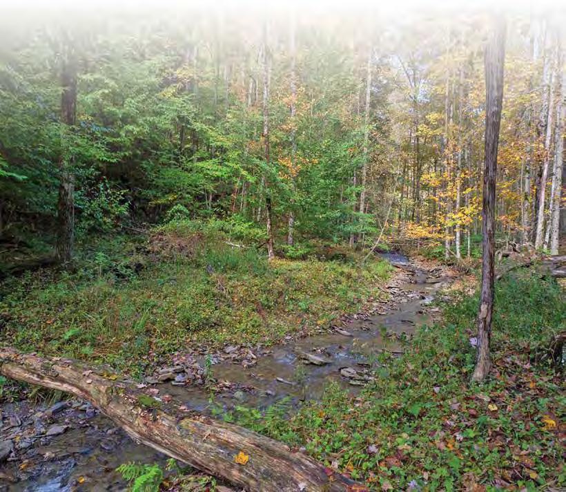 Conservation Easement Protects 89 Acres within Ithaca s Emerald Necklace 89 forested acres in southern Tompkins County are now permanently protected through the use of a perpetual conservation