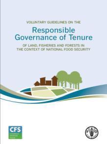 What is Responsible Governance of Tenure? Responsible governance of tenure is fair and equitable governance.. greatest good to the many. minimizing adverse impacts.