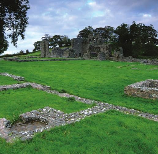 Recognised as one of Ireland s most ancient towns, prominent historical sites including St Patrick s