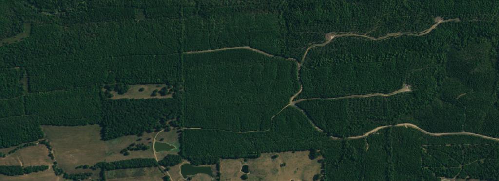 County Line 160 160 Acres, more or less, Polk & Howard Counties, AR T 5 S Sec. 36 T 5 S R 30 W Sec. 31 Sec. 2 Access Road Sec.