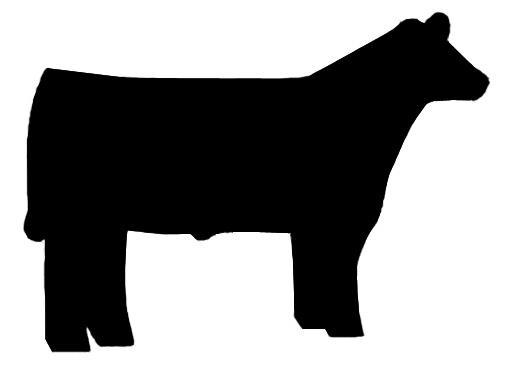Alachua County Youth Fair And Livestock Show 2019 Market Animal Record Book (As of September 1, 2018) Exhibitor Name: Age:
