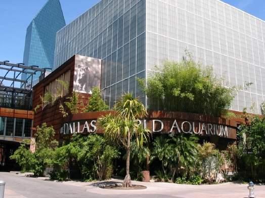 ENTERTAINMENT DRIVERS - American Airlines Center - House of Blues - Dallas World Aquarium - Dallas Zoo - Gexa