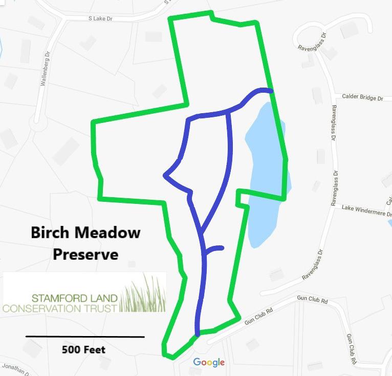 MEET A PRESERVE BIRCH MEADOW From Hiking Trails to Natural Oasis By John Stone the preserve are supplemented by second growth forest throughout the remainder of the area,
