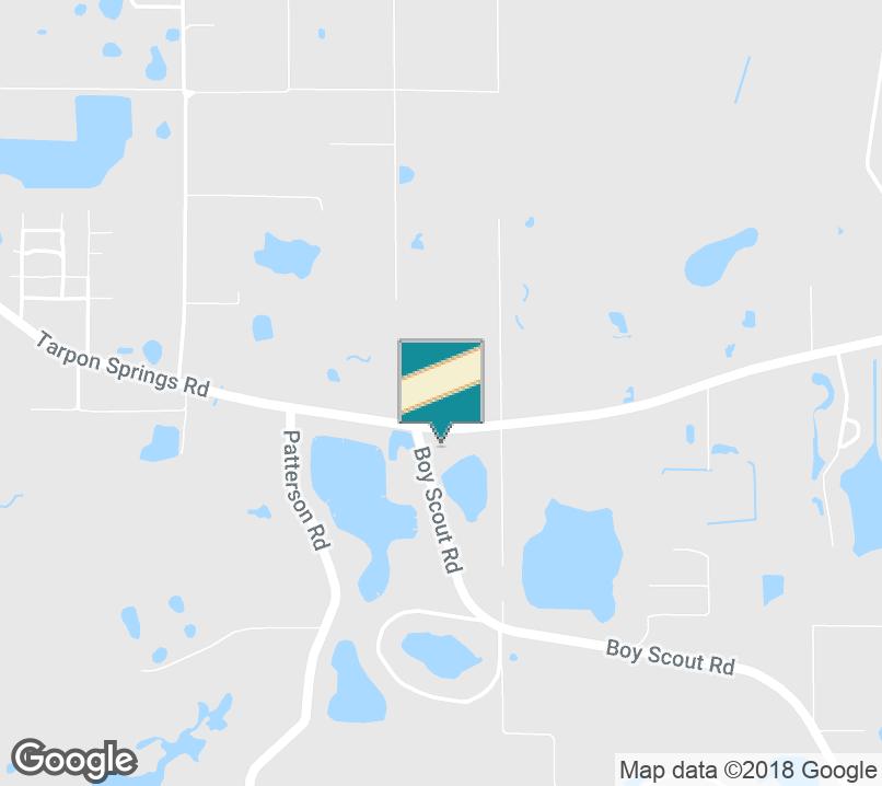 EXECUTIVE SUMMARY OFFERING SUMMARY Sale Price: $2,700,000 PROPERTY OVERVIEW Nestled among more than 100 glimmering lakes, Odessa in northern Hillsborough County blends laid back, country living with