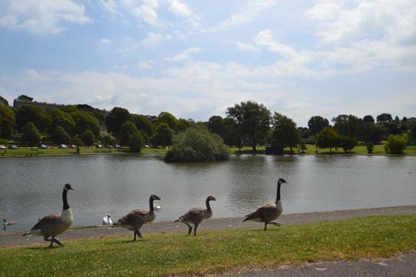 The beautifully situated Lake Grounds is often seen as the Jewel of the town due to its