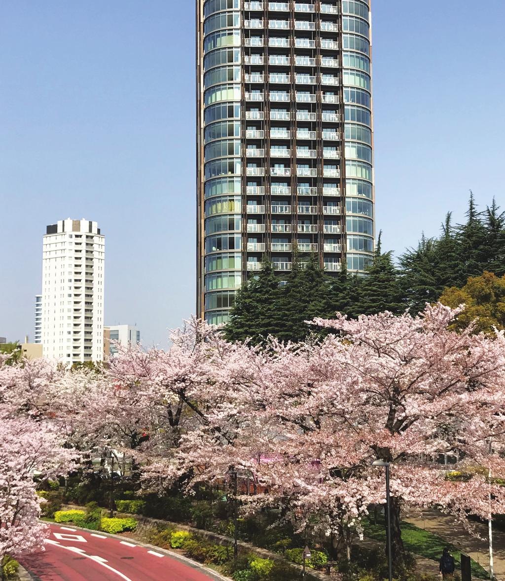 Japan - March 2019 S P OT L I G H T Savills Research Tokyo Residential: Ultra
