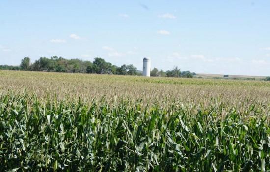 October 20, 2012-155.58 Acres of Sioux County, IA Farmland & Acreage - Sold for $13,000.00 Public Auction of Farmland, Acreage-Farm Machinery 155.
