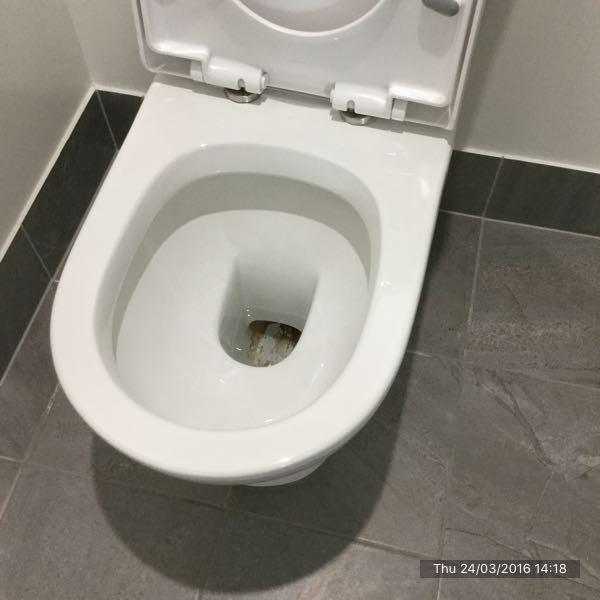 Bathroom: Toilet