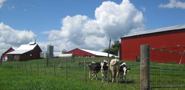 Recent Example #2 Haynes Dairy Farm, Claremont, NH 85 acres of rolling meadows and pastureland
