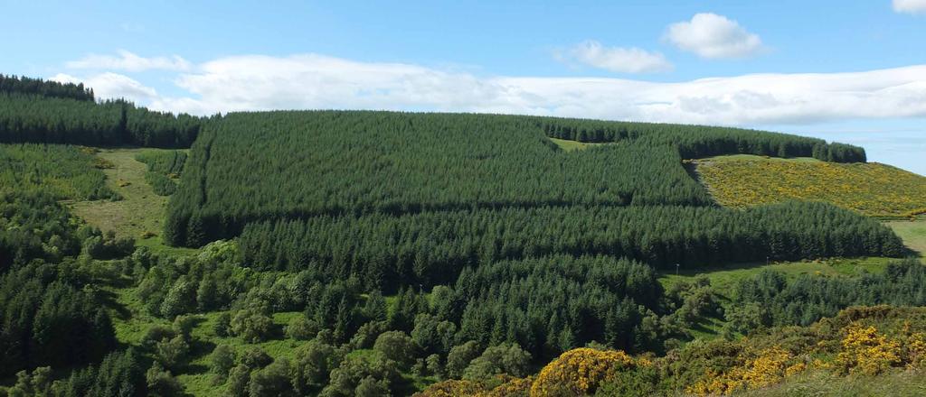 HILL OF COLLITHIE FOREST 117.36 Hectares / 290.00 Acres An excellent forest investment opportunity with a maturing timber crop and excellent access on to a public road and to timber markets.