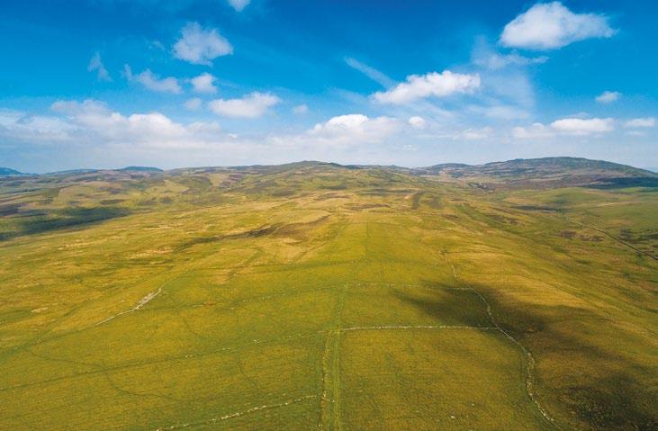 The Land The land at Meikle Findowie extends in total to about 1,062 acres of which 133 acres are classified as temporary / permanent pasture, with the remainder comprising rough grazings, moor and