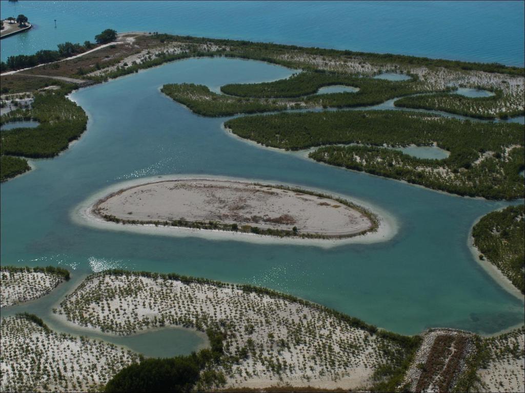 In the last seven years, Florida has acquired more than one million acres of environmentally-sensitive land to protect water quality in rivers, lakes, estuaries and streams
