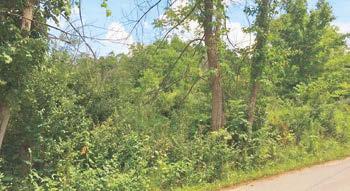10 Acres county road 121 And township road 178 10 Country acres situated on the corner of County Road 121 and County Road 178, beautiful setting, located in Morrow County, Franklin township,