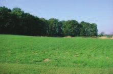norwood SUBDIVISIOn #99934 Fantastic view of Wood Creek Lake can be enjoyed when you build your new home on this wooded lot just minutes north of London.