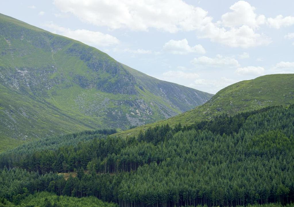 THESE ROLLING HILLS TICK ALL THE VISUAL BOXES, CREATING THIS BREATHTAKING SCENE. Entrance to Tollymore Forest Park Nestled at the foot of Slieve Donard sits the bustling seaside town of Newcastle.