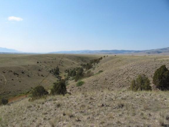 Most of the property supports a native range community, with a narrow riparian community occurring along the Madison Canal and 8 Mile Creek, which run through the property.