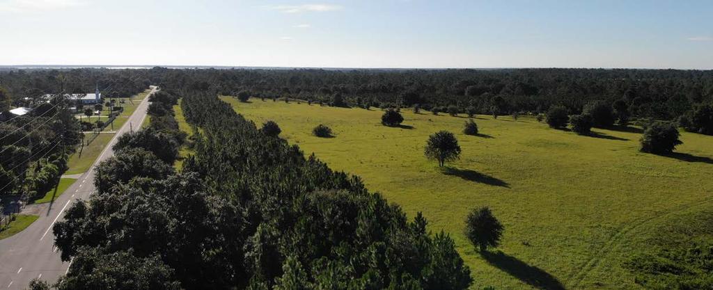 863.648.1528 114 N. Tennessee Ave. 3rd Floor Lakeland, FL 33801 100 ± Acres 80 ± Acres of Pines and 20 ± Acres of Pasture Includes a Solar Powered Gate Entry! SREland.