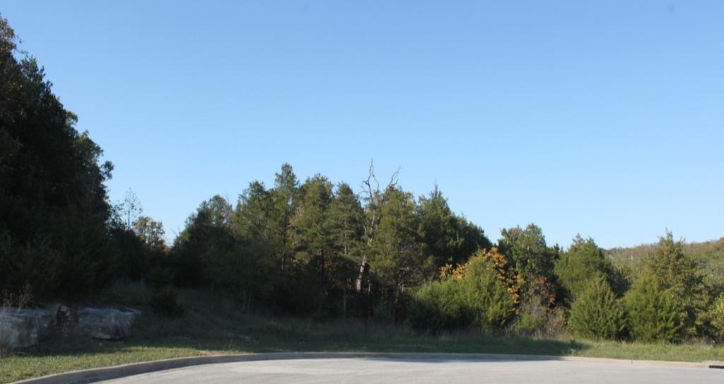 60+/- acres Utilities Available Level and Gently Rolling Close to Schools and Shopping