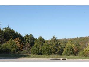 Page 1 of 2 7/10/2018 Customer Only Report Comm Lots Deer Valley Drive Unit #: Lots 17, 18 & 20 Branson, MO 65616 $149,900 30343930 Land/Lots Development Land Active County: Taney Subdivision: