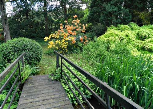 GARDEN GROUNDS As mentioned earlier in these particulars, the property is surrounded by its own beautifully landscaped garden grounds with a tarmacked