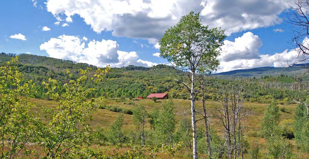 The ranch sits on the south face of the Grand Mesa above the North Fork of the Gunnison River Valley, just 5 miles north of the town of Paonia.