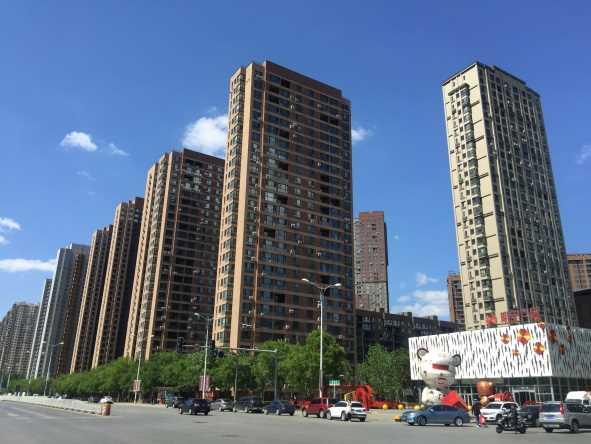 Project name Address Main use Site area Scale (total number of units /total floor space) Completion Tianjin Project Tianjin Residences 2,000 m 2 270 units From 2012 Shenyang Tomorrow Square Project