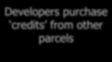 Developers purchase credits