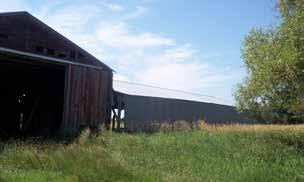 grain bins and a barn/shed with a cattle