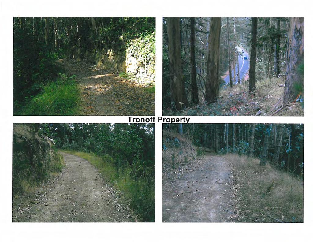 The informal existing trail that would link the Conservancy s property to the City of Pacifica is visible at the