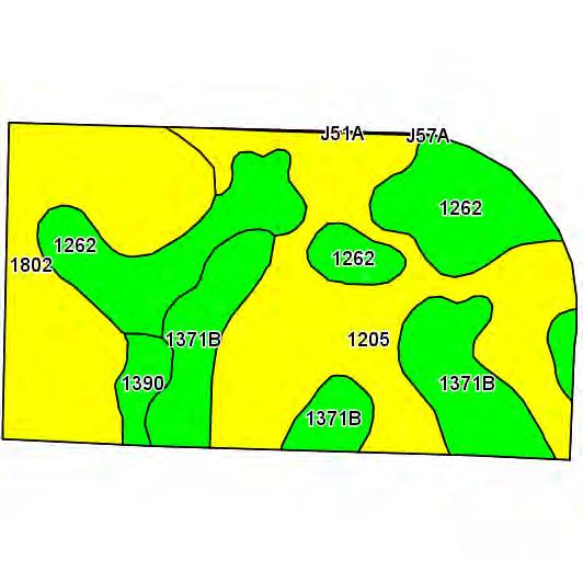 Soils Map State: Minnesota County: Renville Location: 4-116N-37W Township: Ericson Acres: 81.3 Date: 11/14/2012 Field borders provided by Farm Service Agency as of 5/21/2008.