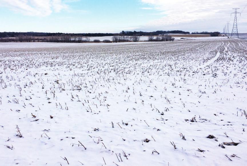 buyer s PROSPECTUS Meeker County, MN Land Auction FRIDAY, MARCH 6, 2015 10AM Auction Location: Steffes Group facility, 24400 MN Hwy 22 S, Litchﬁeld, MN 55355.