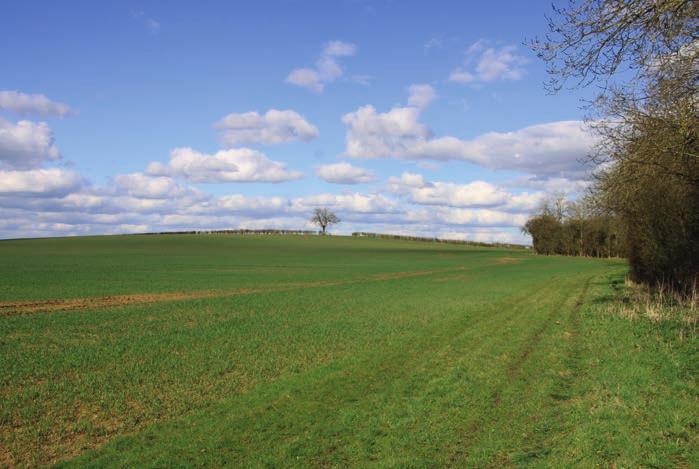 Description The Farmland A compact block of arable farmland in an attractive setting, extending in all to 213.77 acres (86.51 hectares). A further 5.