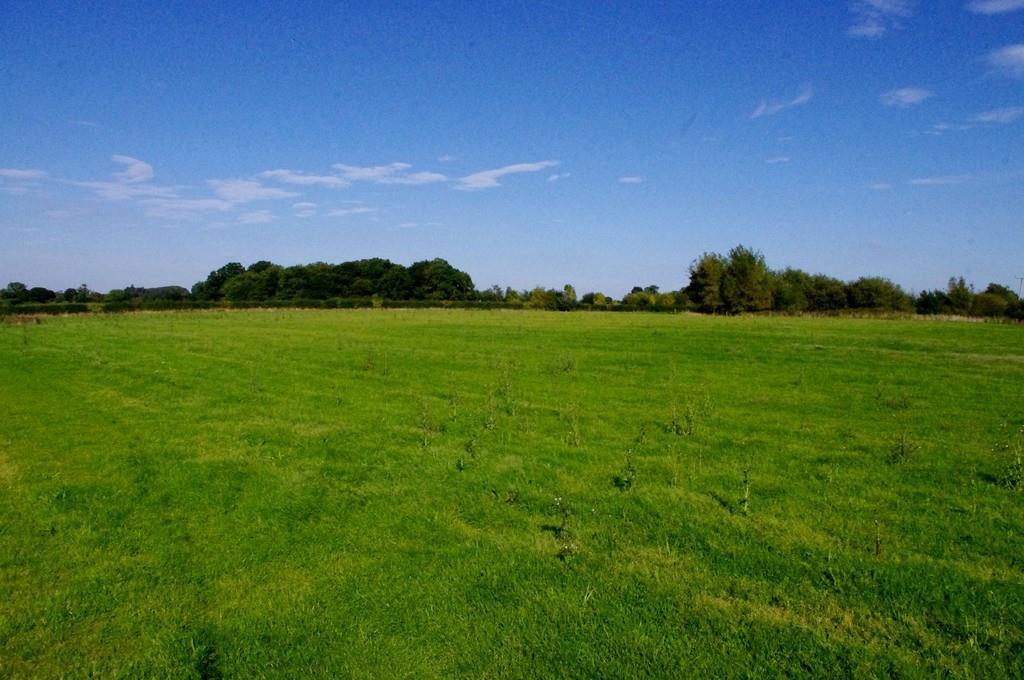 39 acres (26.87 hectares) or thereabouts of productive pasture.