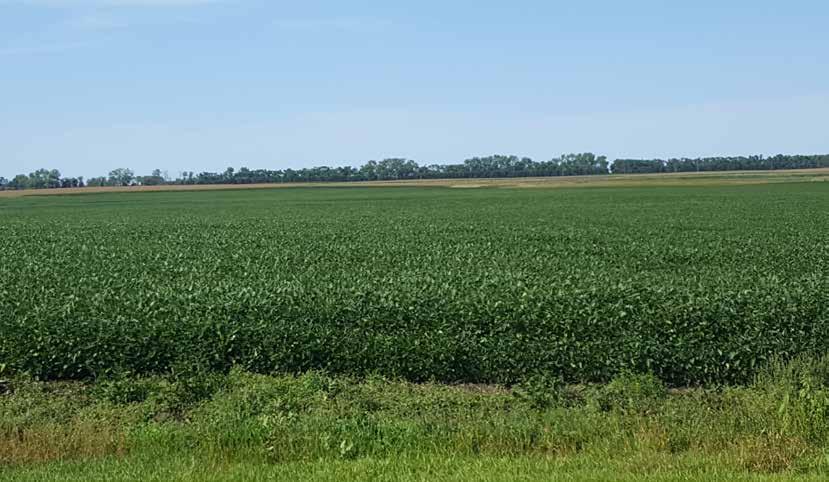 United States Department of Agriculture Farm 4128 Lincoln County, Minnesota CSAH 17 310th St 1 17.97 8 Tract 1961 23 T112 R44 Limestone Ü 1.25 2017 Program Year Map Created April 05, 2017 0 287.