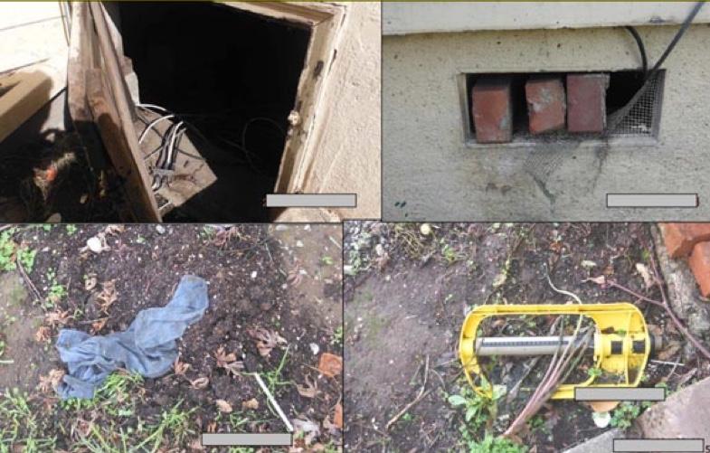 Bank of America failed to clean up the yard and secure holes, allowing rodents and cats into the home s crawlspace.