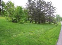 approximately 75 acres (boundary deed) of land. this property offers opportunity for hunting or four wheeling.