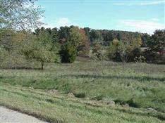 MLS #: 1455444 Sold Lots & Acreage Price: $179,900 7 Lots E Dr Subdivision: Anderson-Berberich Wooded Acres: 0.