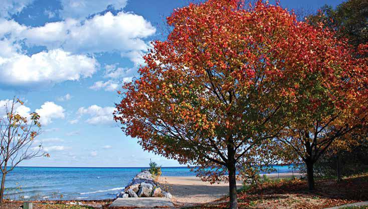 WINNETKA OFFERS A DIVERSE RANGE OF HOMES, FANTASTIC RECREATIONAL OPTIONS, BEAUTIFUL PUBLIC BEACHES AND A PICTURESQUE DOWNTOWN WITH DOZENS OF VENUES FOR DINING AND SHOPPING.