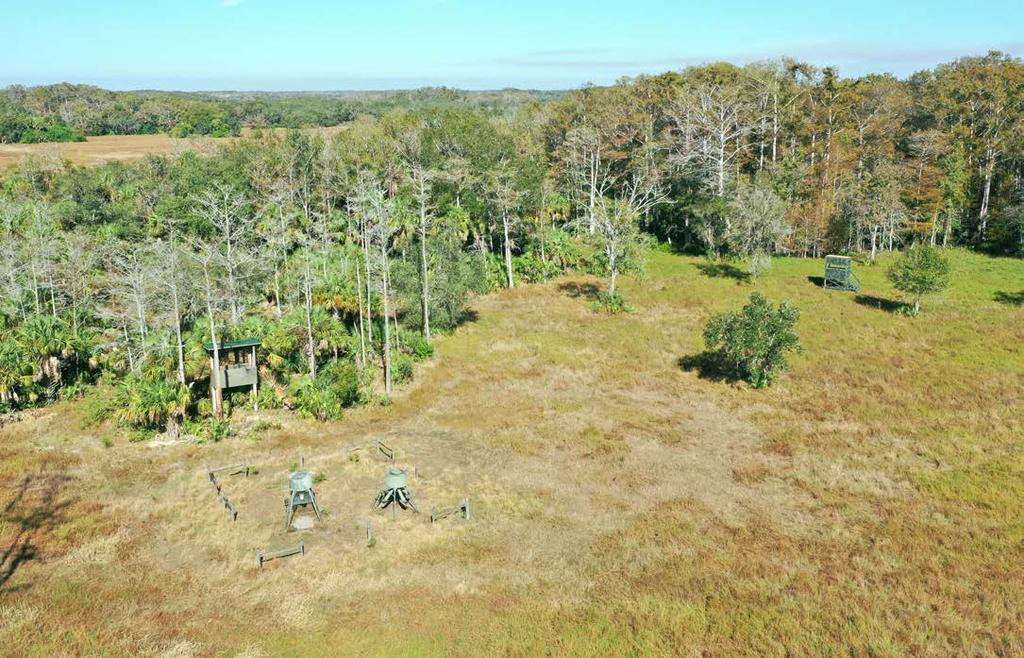 COLDWELL BANKER COMMERCIAL SAUNDERS REAL ESTATE This remote high-end ranch is a true paradise hosting an abundance of Whitetail deer with Native and Texas genetics, Axis deer, Osceola turkey, dove