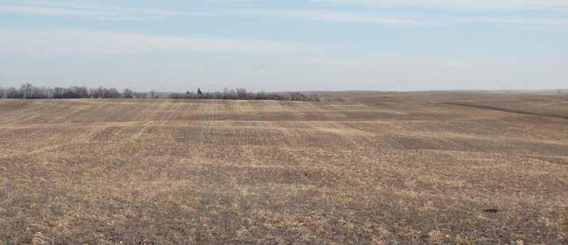 This land features nearly 1,200 deeded acres with over 828 acres of productive cropland in the heart of one of North Dakota