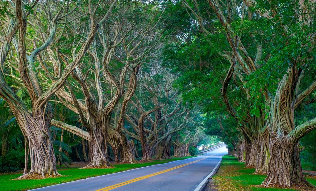 With its collection of antique shops, funky eateries, art galleries, and nature parks, Hobe Sound embodies the definition of small