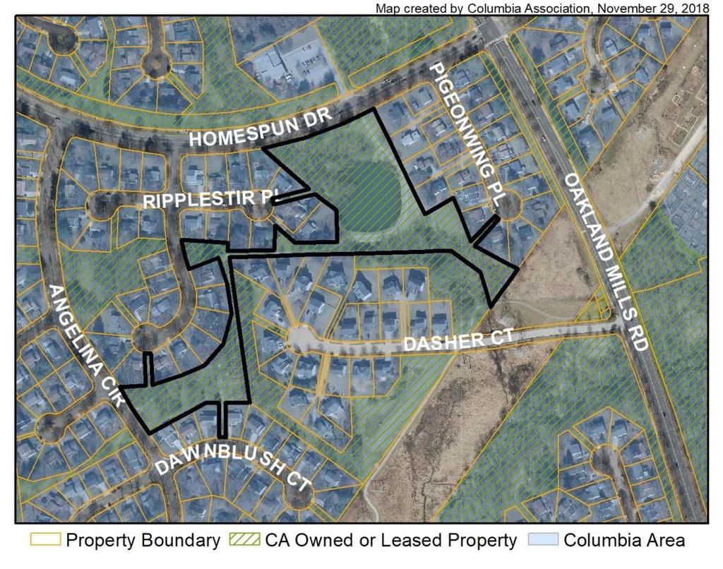 Newly Submitted Development Plans F-19-039 Village of Owen Brown Description: A record plat was submitted to grant Howard County an access easement to open space Lot 522, located south of Homespun Dr.