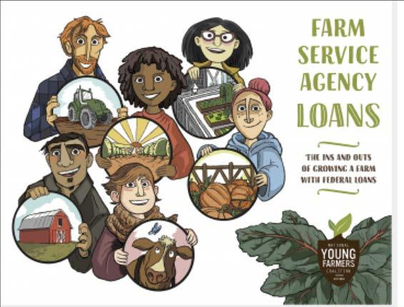 Farmland Financing USDA Farm Service Agency Eligibility - Workable farm business plan - Adequate collateral - Reasonable credit history - Not