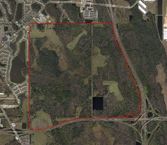 Aerial View of Parent Tract