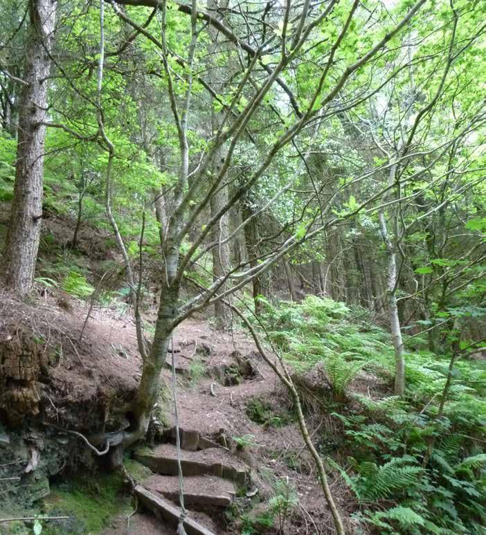 RIGHTS AND EASEMENTS The woodland is sold subject to and with the benefit of all rights, including rights of way, whether public or private, light, support, drainage, water, gas and electricity