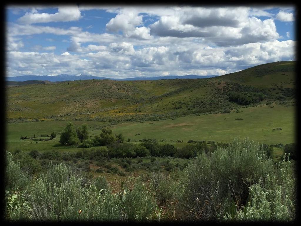 250 acres of Livestock Grazing Ranchland & Farmground Bruce Lane to Farm-To-Market Road, Midvale, Idaho EXECUTIVE SUMMARY The FTM Ranchlands is a beautiful foothill valley ranch with good springs,