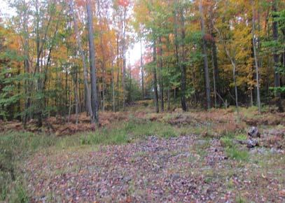 Beartown Rd, Croghan $39,500 51.10 acres of wooded land for your outdoor enjoyment.